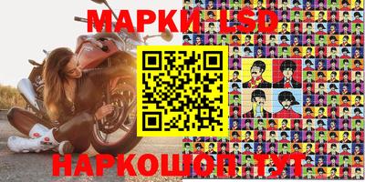 мдпв Гатчина