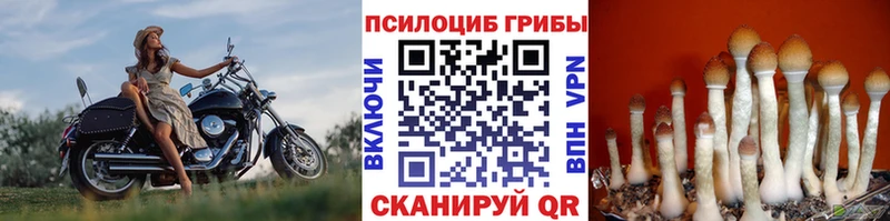 Галлюциногенные грибы прущие грибы  дарнет шоп  Курск 