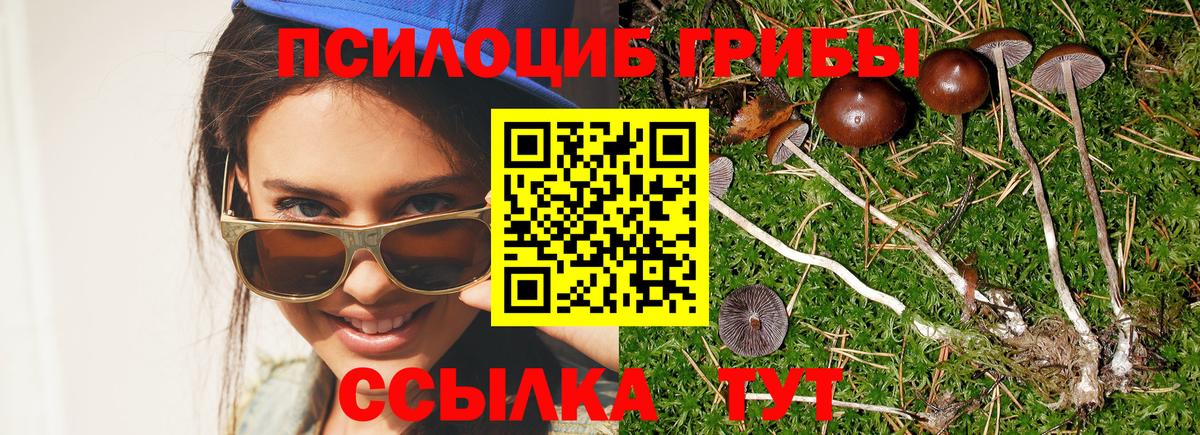 Курск  Галлюциногенные грибы GOLDEN TEACHER  что такое   Галлюциногенные грибы мухоморы  Вход с VPN 